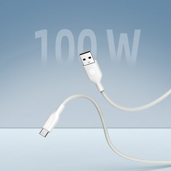 Fast Charging Cable 100W A-C